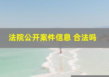 法院公开案件信息 合法吗